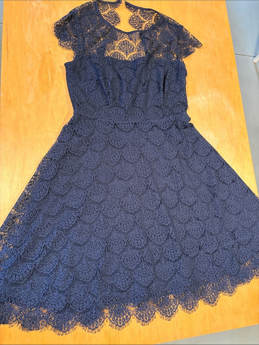 Kensie ~ Navy Blue Eyelash Lace Mini Dress Cut out back